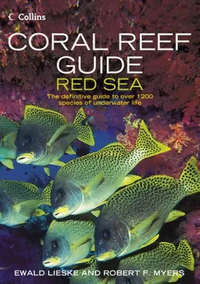 Produktbild von Coral Reef Guide Red Sea