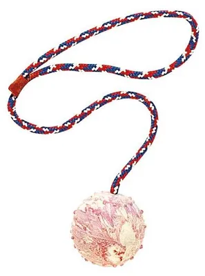 Image de Balle Avec Corde Small 60 Cm - Ferplast France
