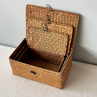 Immagine prodotto di 3x cestini di stoccaggio delle alghe con coperchio per l'organizzazione della casa e del bagno S, M, L