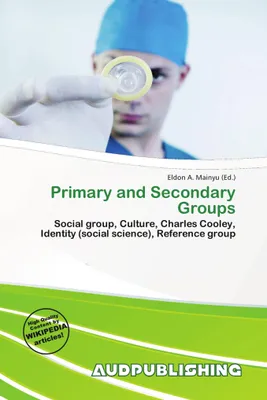 Produktbild von Primary and Secondary Groups