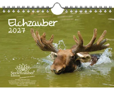 Produktbild von Elchzauber Elche DIN A5 Kalender für 2027 - Seelenzauber