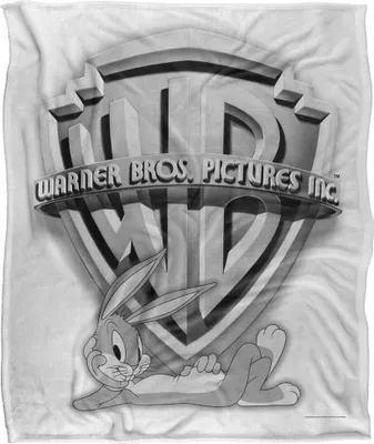Immagine prodotto di Warner Bros - Coperta scudo "Old School", setosa, morbida al tatto TV24908 (Taglia unica) (Grigio)