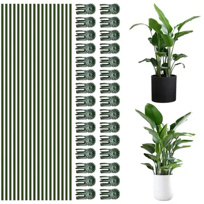 Image de Supports de plantes avec revêtement en plastique - Supports pour plantes d'intérieur - Aides à la croissance pour plantes grimpantes - Supports pour plantes grimpantes - Tuteurs pour orchidées - Supports pour tiges en croissance