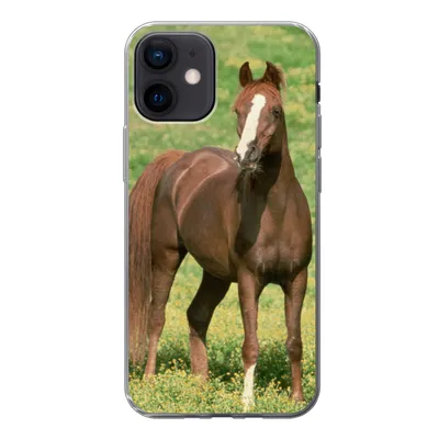 Produktbild von MuchoWow® Handyhülle Schutzhülle Hülle für iPhone 12 Pferde - Gras - Braun Silikon Softcase Handy Hülle - Schutzhülle