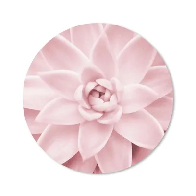 Produktbild von MuchoWow® Mauspad Mousepad Blume - Rosa - Natur - Pflanze 50x50 cm - Mousepads - Maus Mat - Pad - Mausunterlage - Vinyl