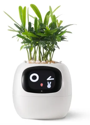 Productafbeelding van Slimme plantenrobots met automatische irrigatie en bediening via een app