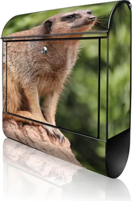 Produktbild von banjado Design Briefkasten Stahl schwarz mit Zeitungsfach pulverbeschichtet "Sitzendes Erdmännchen" 38x46x12,5cm & 2 Schlüssel - Postkasten A4 Einwurf inkl. Montagematerial [BKSCH 10284]