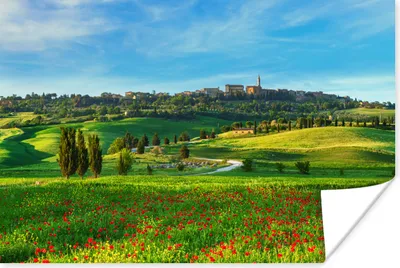 Produktbild von MuchoWow® Poster Toskana - Landschaft - Blumen 180x120 cm - Fotoplakat