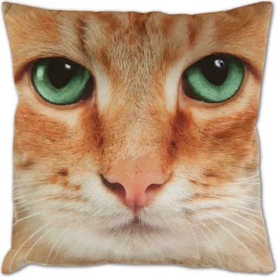 Produktbild von Kissenhülle 2er Pack Fotodruck ca. 40 x 40cm Katze beige
