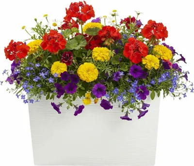 Produktbild von HowHomely | Blumentopf - Blumenkübel - 36x56 cm - creme - Rillenstruktur - Übertopf - Pflanzgefäß