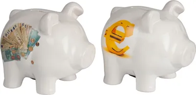 Produktbild von Großes Sparschwein 17 x 15 cm Euro Motiv Spardose