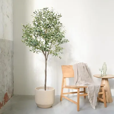 Imagen del producto de Árbol de olivo artificial, color verde, 175 cm