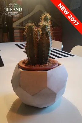 Image de Grande jardinière, bac à fleurs, pot de plantation en béton, modèle 2064