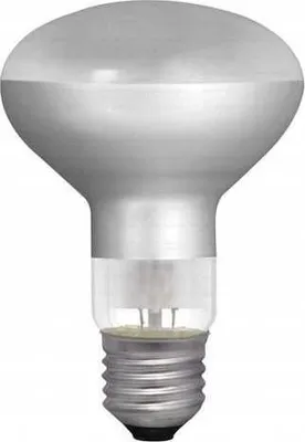 A studio shot of a light bulb against a white background.
