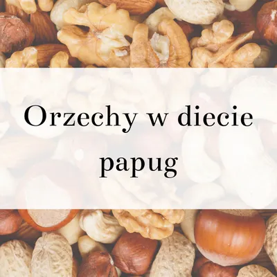 Zdjęcie produktu dla Poradnik ParrotPlanet- ORZECHY W DIECIE PAPUG