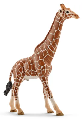 Immagine prodotto di Schleich WIP 14749-MARRÓN in Brown color size Talla unica