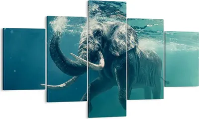 Produktbild von Bild auf Leinwand - Leinwandbild - Elefant Tier Wasser - 125x70cm - Wand Bild - Wanddeko - Leinwanddruck - Bilder - Kunstdruck - Wanddekoration - Leinwand bilder - Wandkunst - EA125x70-3944