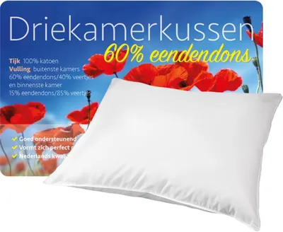 Produktbild von Kopfkissen 3-Kammer, Entendaunen-Feder-Mischung, 60x70 cm, für die Schlafzimmereinrichtung
