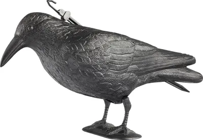 Produktbild von Windhager Gartenfigur RABE 37 cm, schwarz