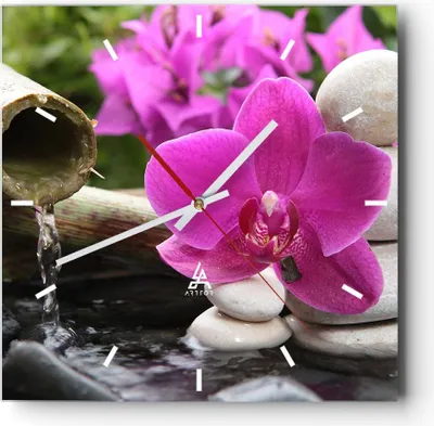 Produktbild von Wanduhr - Quadrat - Glasuhr - Orchidee Bambus Dekoration Spa - 30x30cm - Schleichendes Uhrwerk - Lautlos - zum Aufhängen bereit - Dekoration Modern - Wanddekoration aus Glas - C3AC30x30-2666