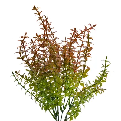 Produktbild von Clayre & Eef Kunstpflanze 40 cm Grün Kunststoff