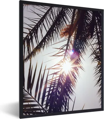 Produktbild von MuchoWow® Gerahmtes Poster Palmwedel - Sonne - Sommer 30x40 cm - Poster mit Schwarzem Bilderrahmen Wandposter Rahmen Foto Bilder - Wanddeko - Kunstdrucke