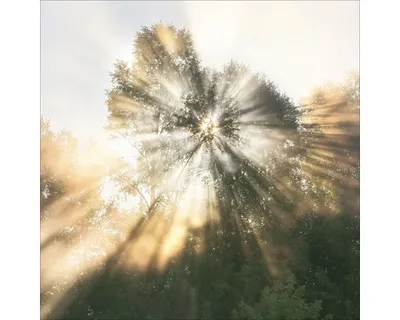 Produktbild von Glasbild Mystic Light I 20x20 cm