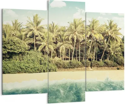 Produktbild von Bild auf Leinwand - Leinwandbild - 3 Teile - Natur Strand Palmen - 130x100cm - Wand Bild - Wanddeko - Wandbilder - Leinwanddruck - Bilder - Wanddekoration - Leinwand bilder - Wandbild - CB130x100-4915