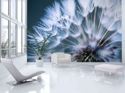 Produktbild von Vlies Fototapete 400x280 cm Tapeten Wandtapete XXL Blumen Pusteblume b-B-0087-a-b