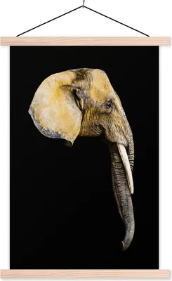 Produktbild von MuchoWow® Textilposter Elefant - Kopf - Schwarz 60x90 cm mit holzfarbenen Rahmen - Textil