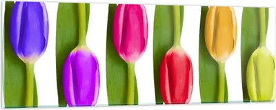 Produktbild von Bilder auf glas - Tulpe Blume Garten Komposition - 90x30cm - Glasbilder - Wandbilder - Kunstdruck - zum Aufhängen bereit - Wanddekoration aus Glas - Glas Bilder - Wandbild auf Glas - GAB90x30-2360