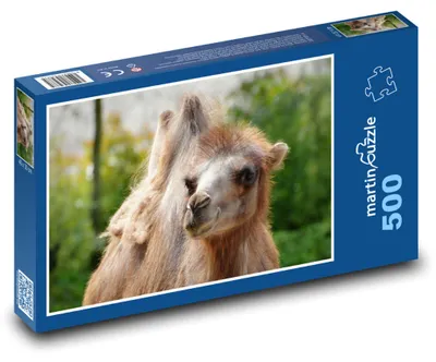 Zdjęcie produktu dla martinpuzzle - Puzzle 500 elementów - Wierzchowiec