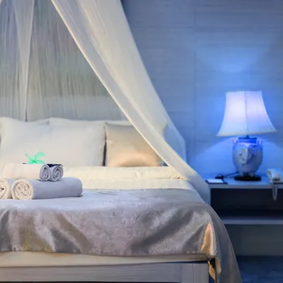 Produktbild von Niceey Double XL Mosquiton Net de Luxe, Rundes Mückennetz, Reise Moskitonetz, Anti-Moskitonet für 2 Perso, Bett, extra groß, mit Hang Hak, Weiß, Insektenschutztüren, Mückenschutztüren, Fliegenschutzvorhänge