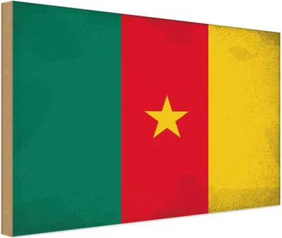 Produktbild von vianmo Holzschild 12x18 cm Kamerun Cameroon Vintage Flagge Fahne Wappen