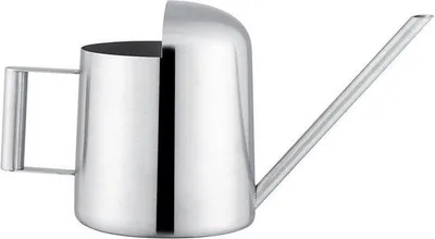 Immagine prodotto di Annaffiatoio in acciaio inossidabile da 300 ml con spruzzatore rotondo per vasi, piante e fiori da giardino
