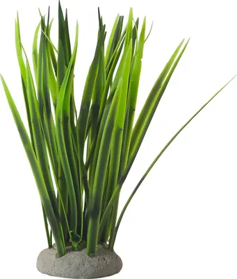 Produktbild von Nobby Aquariendekoration Aqua Ornaments ValliIsneria