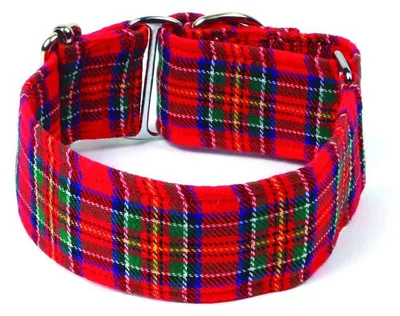 Martingale Hundehalsband, 5 cm, L (40-49 cm), rot
