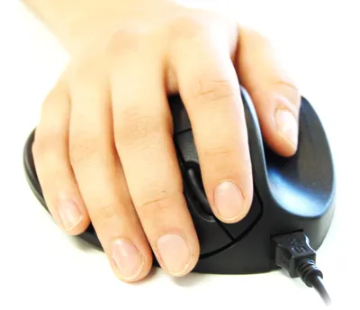 Produktbild von HIPPUS HandShoe Mouse rechts M