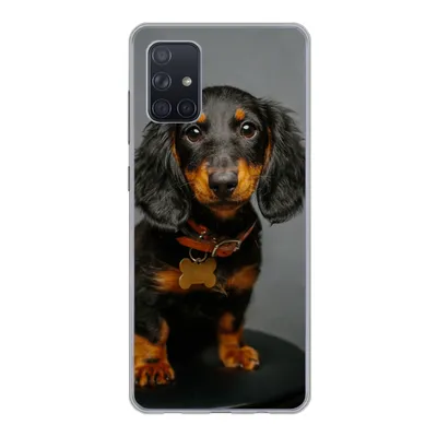 Produktbild von MuchoWow® Handyhülle Schutzhülle Hülle für Samsung Galaxy A51 5G Studiofoto eines Dackelwelpen Silikon Softcase Handy Hülle - Abbildung
