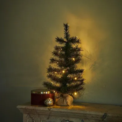 Produktbild von Sirius LED-Tanne Alvin Tree 20 LED warmweiß 60 cm außen batteriebetrieben grün