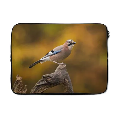Produktbild von MuchoWow® Laptop Hülle 13 Zoll Vogel - Zweig - Eichelhäher Laptoptasche - Laptophülle - Sleeve - Rundumschutz
