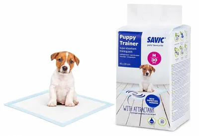 Immagine prodotto di Tappetini assorbenti per cuccioli - Taglia M - 45 x 30 cm - 3 pezzi