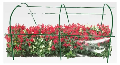 Produktbild von Anzucht-Tunnel mit windgeschütztem Pflanzbügel für Hochbeete und Garten