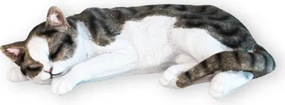 Produktbild von Dekofigur Hauskatze "Murli" Stubentiger Katze Tierdeko Dekoration