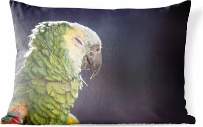 Produktbild von MuchoWow® Outdoor Kissen - Nahaufnahme schlafender Papagei - 60x40 cm - Wetterfest - Lounge Kissen - Zierkissen - Kissen für Innenräume