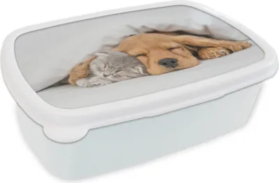Produktbild von KitchenYeah® Lunchbox Brotzeit Brotdose 17x11 cm Haustiere - Hund - Katze - Decke Kinder Brotzeitdose - Lunch Box - Kinder - Sandwich-Box - Schulbox - Lunch Boxen