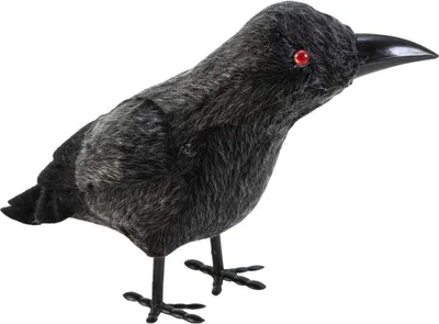 Immagine prodotto di EUROPALMS Corvo di Halloween, 18 cm