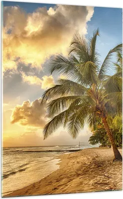 Produktbild von Bilder auf glas - Einteilig - Strand Meer Palme - 70x100cm - Glasbilder - Wandbilder - Bilder - zum Aufhängen bereit - Wanddekoration aus Glas - Glas Bilder - Wandbild auf Glas - GPA70x100-3606