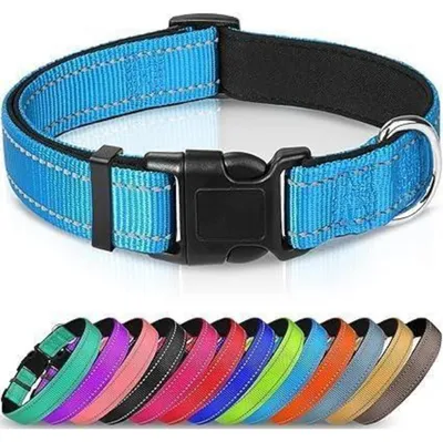 Produktbild von Hundehalsband gepolstert Neopren Nylon verstellbar XL Blau