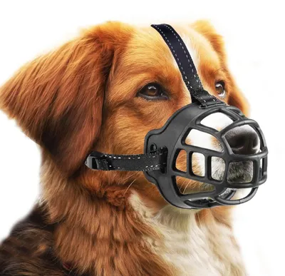 Image de Panier en silicone pour chien, taille 5, couleur noire